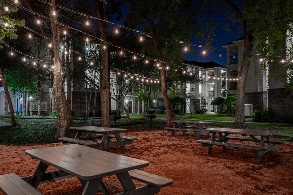 Pet-Friendly Apartments in Houston, TX – Westchase Forest – Photo of picnic tables in a park at night