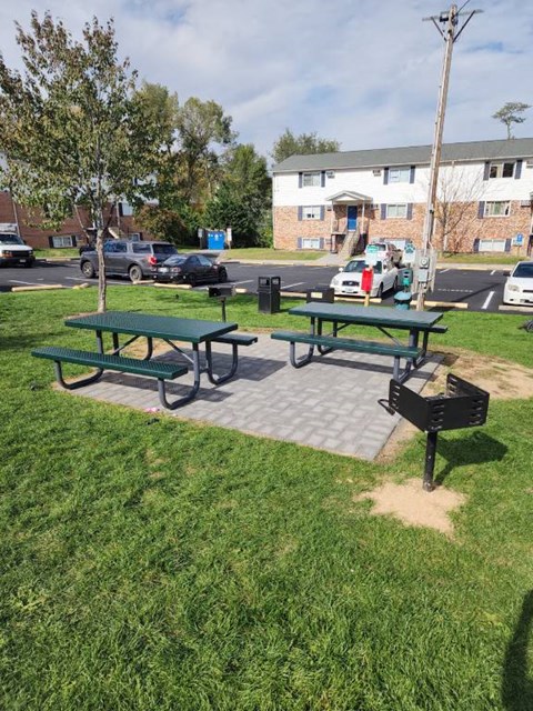 Picnic tables and benches are set up in a grassy area.