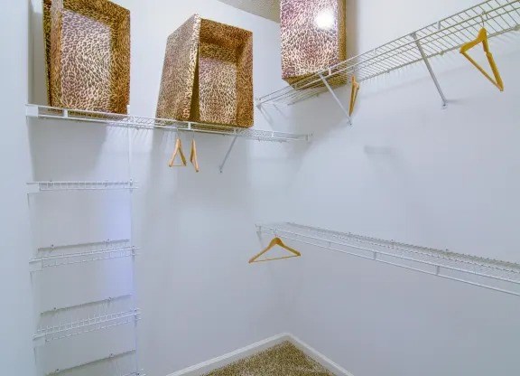Spacious walk-in closet with shelving in value apartment at Enclave at Wolfchase – affordable Cordova, TN apartments.