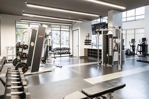 A gym with a variety of equipment including a squat rack, bench, and weights.
