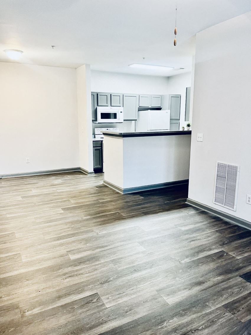 Parc at Metro Center Apartments in Nashville Tennessee photo of kitchen and kitchen and living room