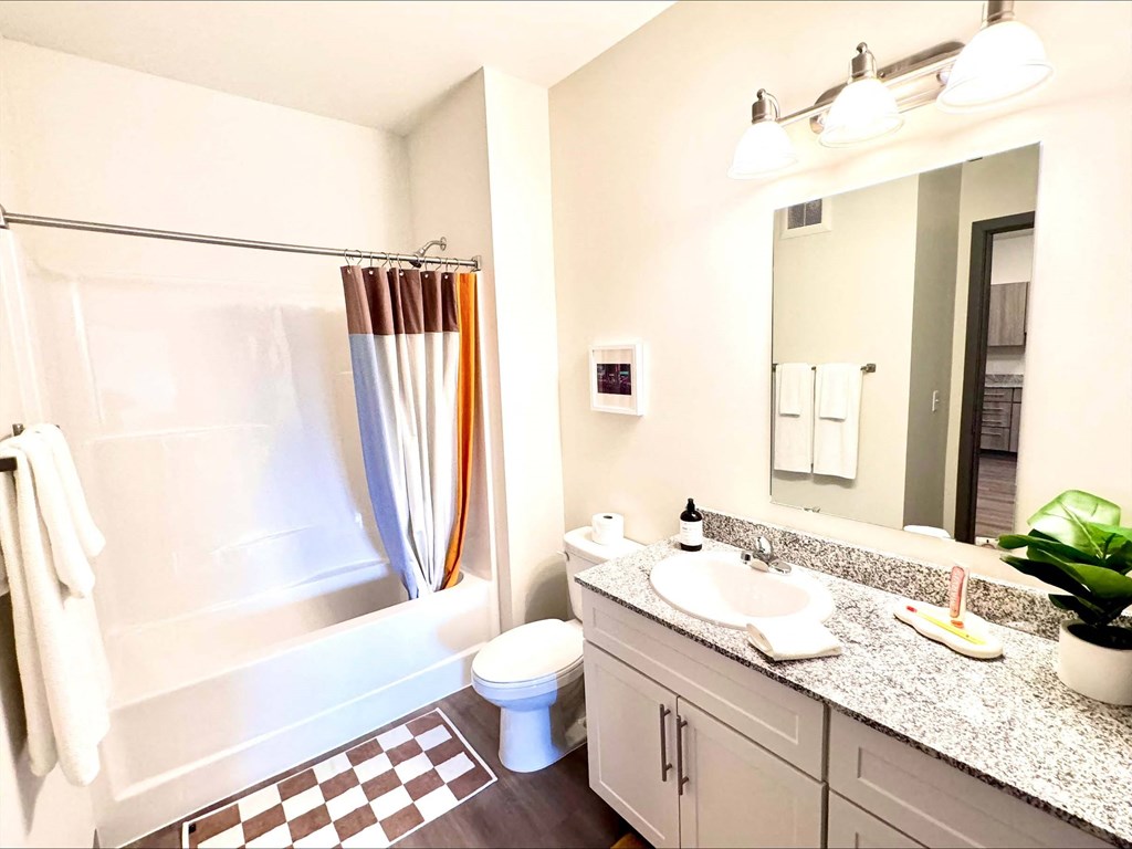 a bathroom with a shower toilet and sink and a mirror