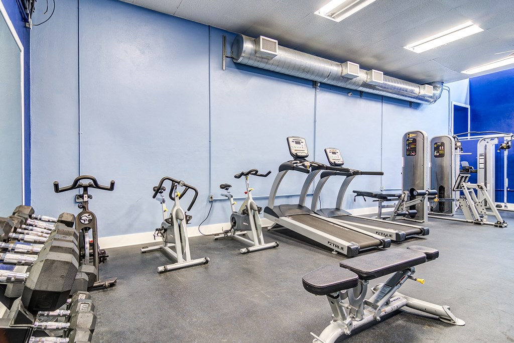 Summit Station at Duluth, Duluth, GA, Apartment_gym