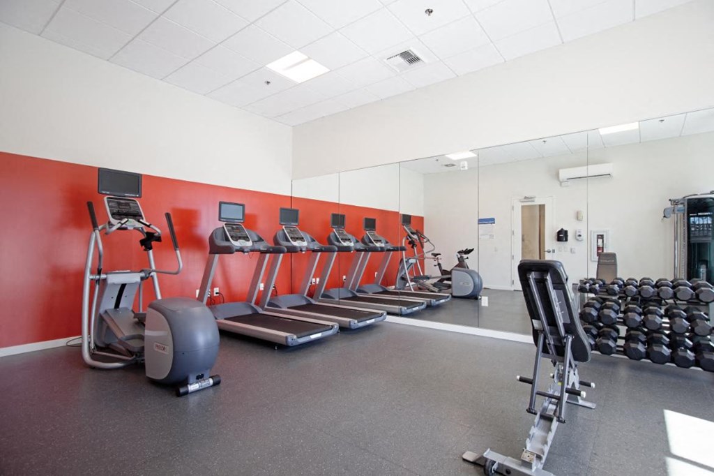 the gym is equipped with state of the art cardio equipment