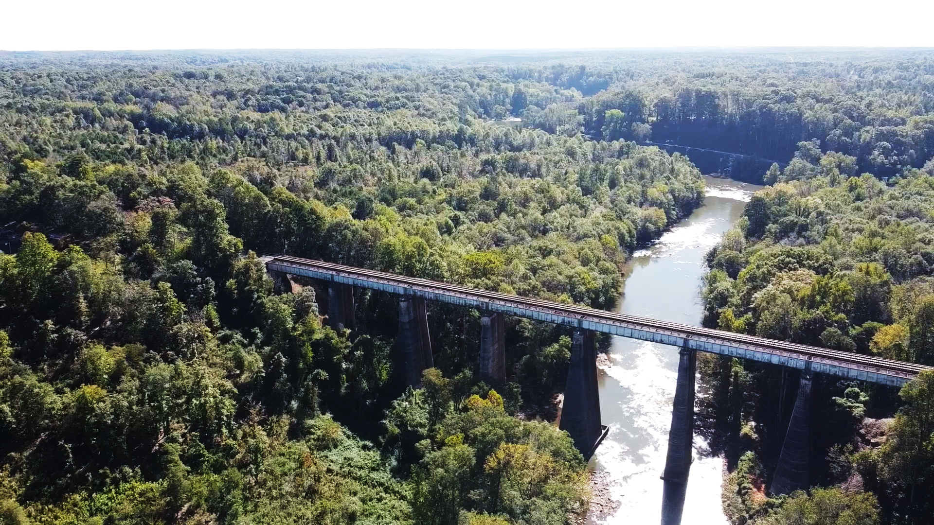 An aerial view of a large bridge spanning across a river, surrounded by a dense canopy of green trees.