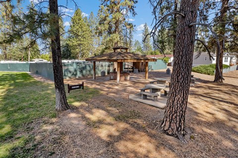 a picnic area with a picnic table and a gazebo