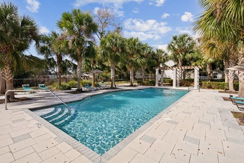 Summerset Apartment Affordable Zephyrhills, FL apartments A sparkling pool surrounded by palm trees and a stone patio.