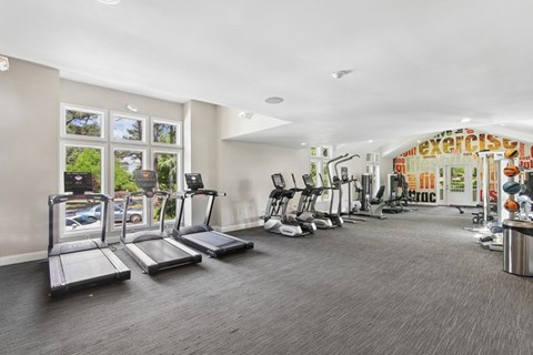 A gym with treadmills, exercise bikes, and other equipment.