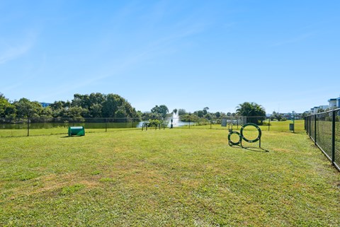A park with a green playground set and a fence.