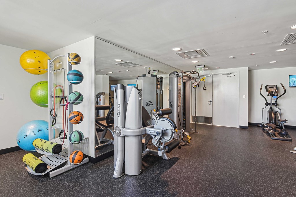 Pet-Friendly Rentals in Miami River, FL – Riverview One Apartments – A gym with a variety of equipment including weights and exercise balls.