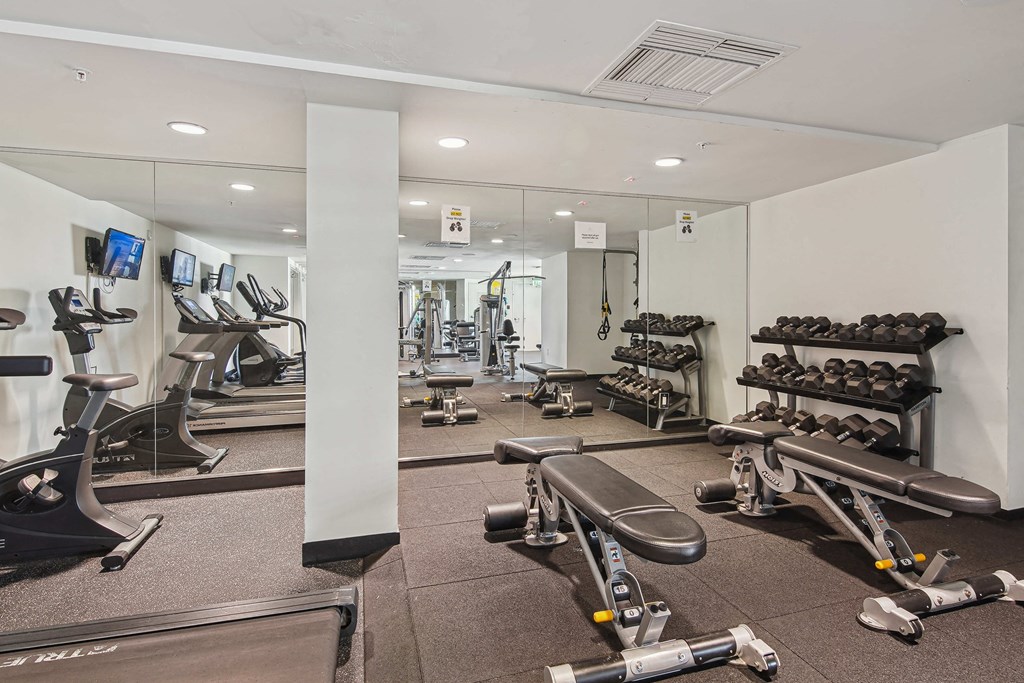 Pet-Friendly Rentals in Miami River, FL – Riverview One Apartments – A gym with a variety of equipment including treadmills, weights, and exercise machines.