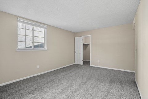A room with a grey carpet and a window with blinds.