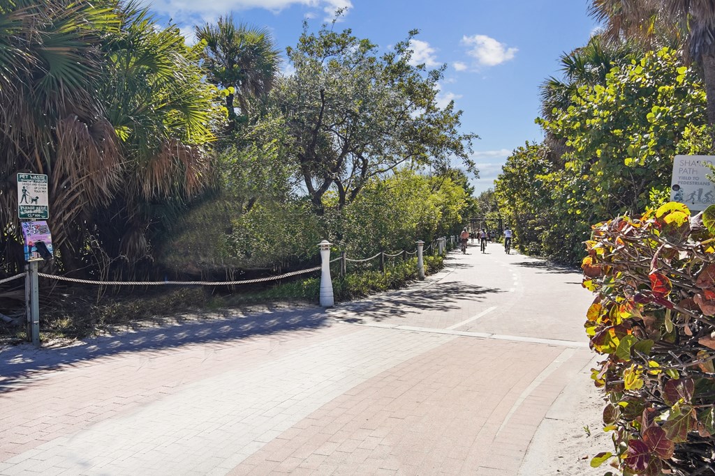 Pet-Friendly Apartments in South Beach Miami – The Anamar at Collins Park – A tree-lined walkway with a sign on the left side.