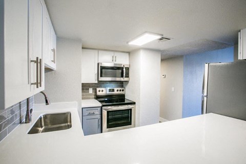 a kitchen with a sink and a stove and a microwave