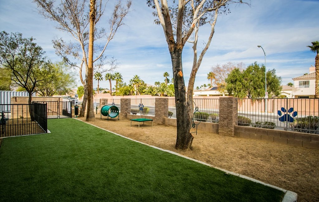 a grassy area with trees and a fence