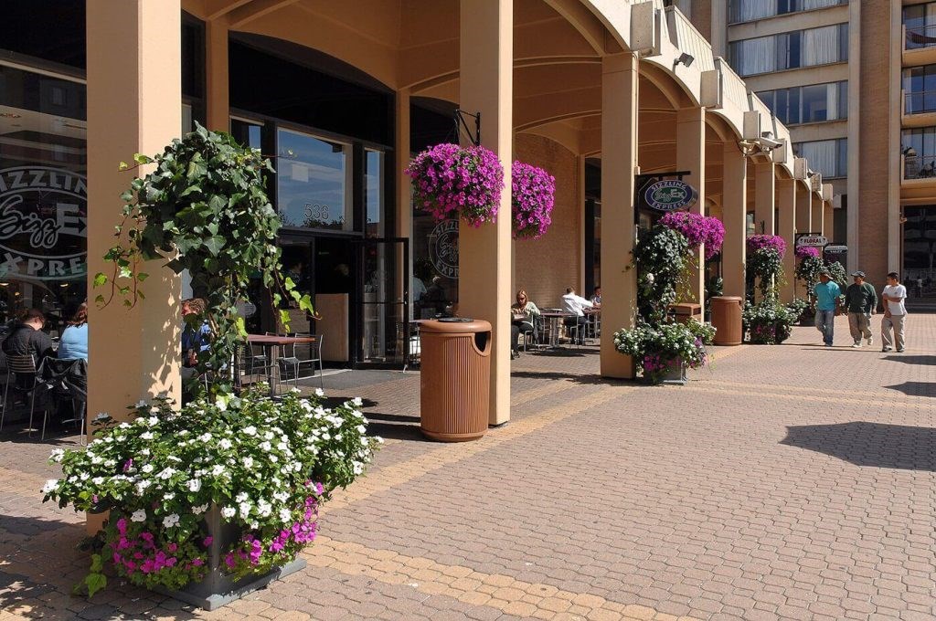 A row of hanging flower baskets are on display outside a building.