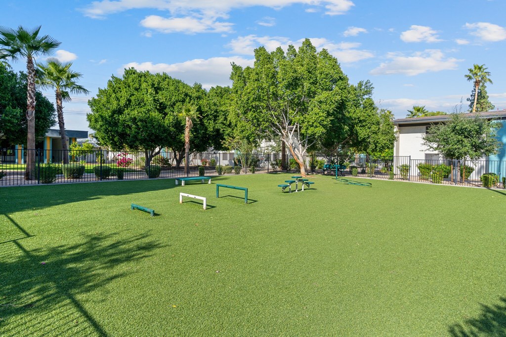 Leash-free dog park at Sono Tempe, a pet-friendly community in Tempe near downtown Tempe, AZ, providing an open space for dogs to play.
