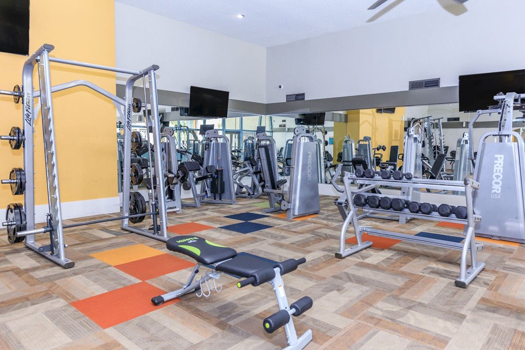 Fully equipped fitness center at Sono Tempe, a pet-friendly community in Tempe near downtown Tempe, AZ, featuring modern cardio and strength-training equipment.