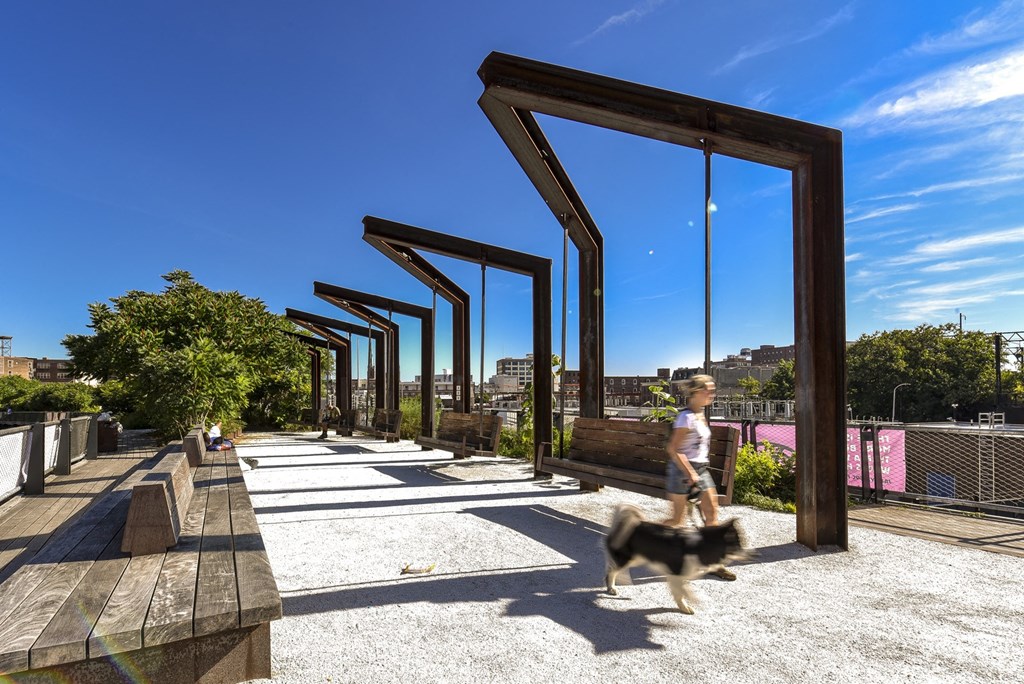 a boy walking his dog on a sunny day