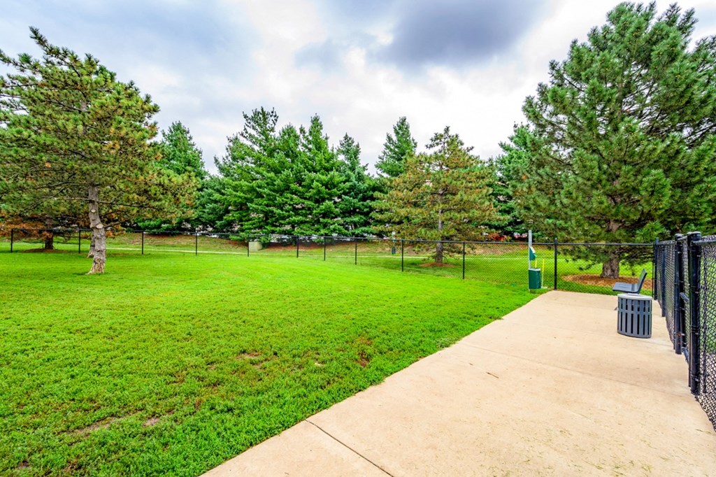 a grassy area with trees and a chain link fence