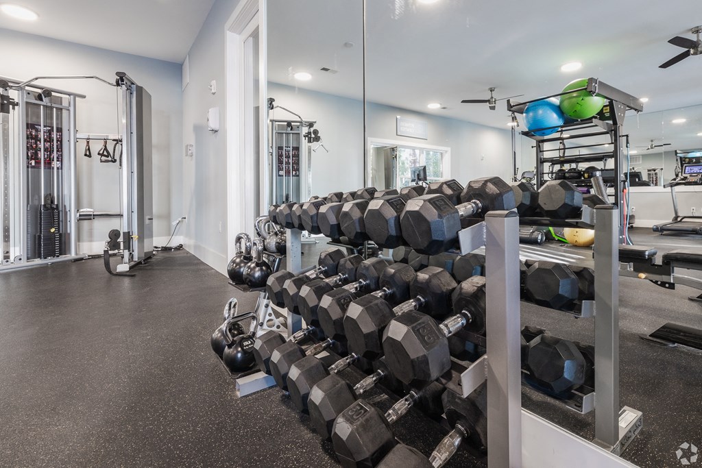 a gym with a rack of dumbbells in it t The Ashley, South Carolina
