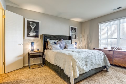Apartments in Glendale Heights for rent - The Mark - bedroom with a bed and a dresser and a window and premium carpet