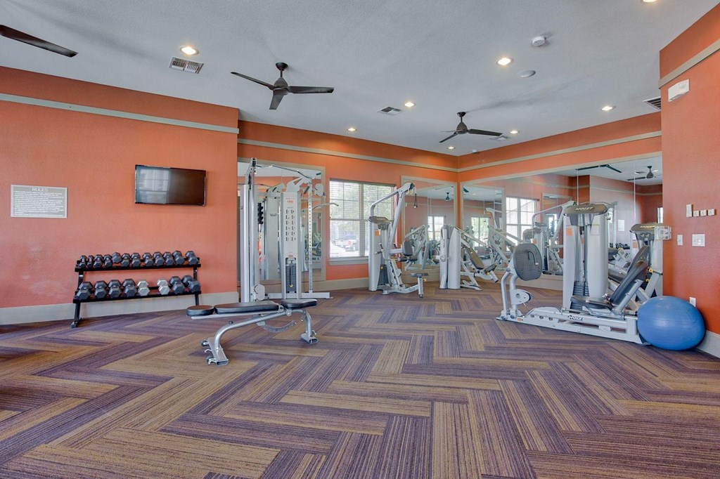 Gym with cardio equipment and lifting equipment 