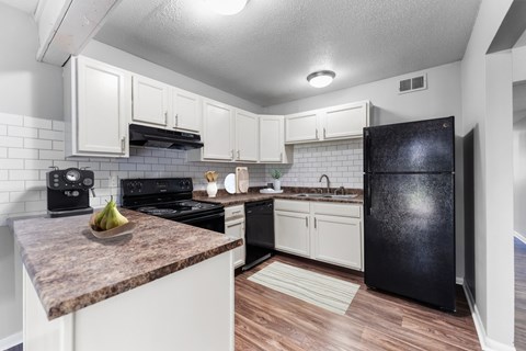 8951 Reeder Street 1 Bed Apartment for Rent