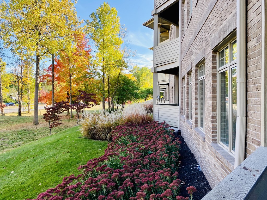 a view of the front yard of a house with colorful trees in the background