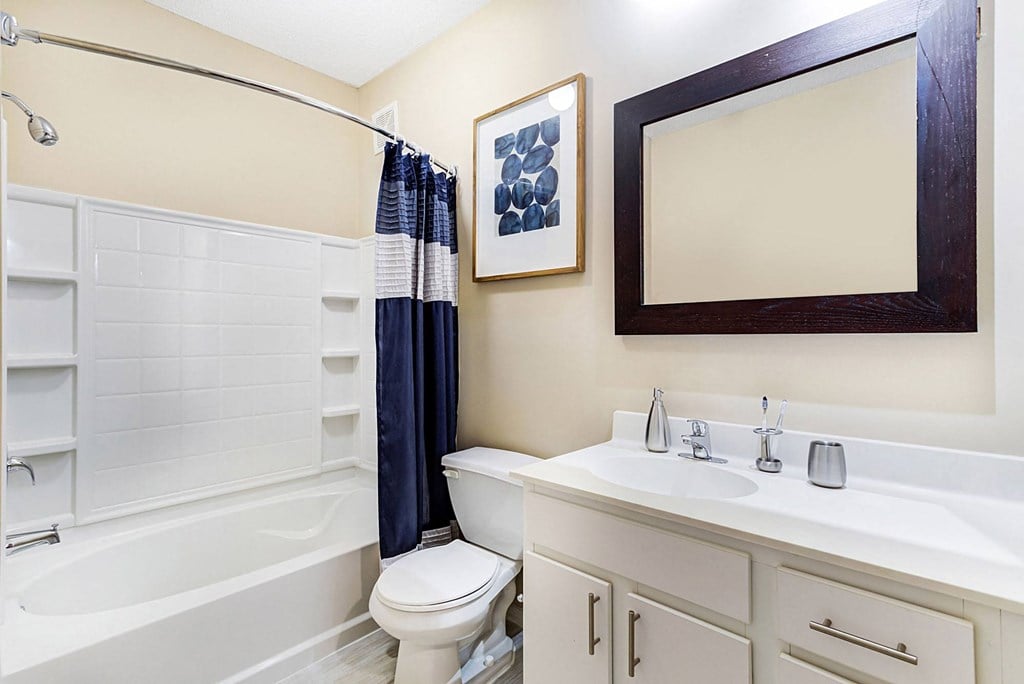 bathroom with shower at Uptown Lake Apartments, Minneapolis, MN, 55408