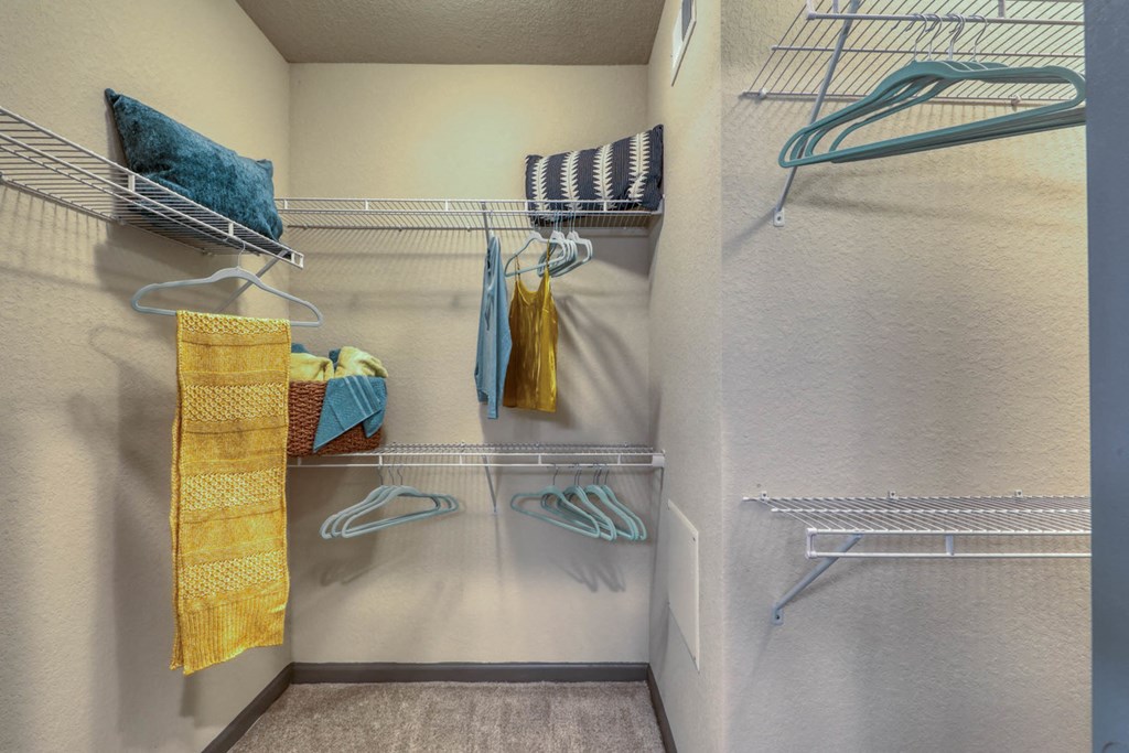 The Ridley apartments in Jacksonville, FL photo of walk in closet