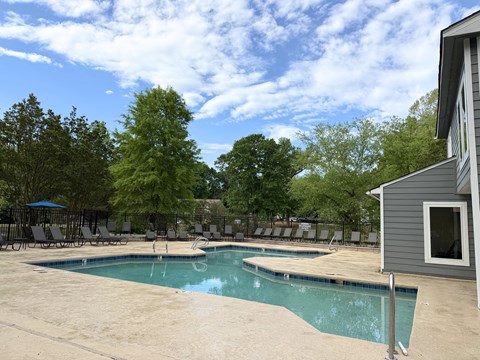 A pool surrounded by trees and chairs.