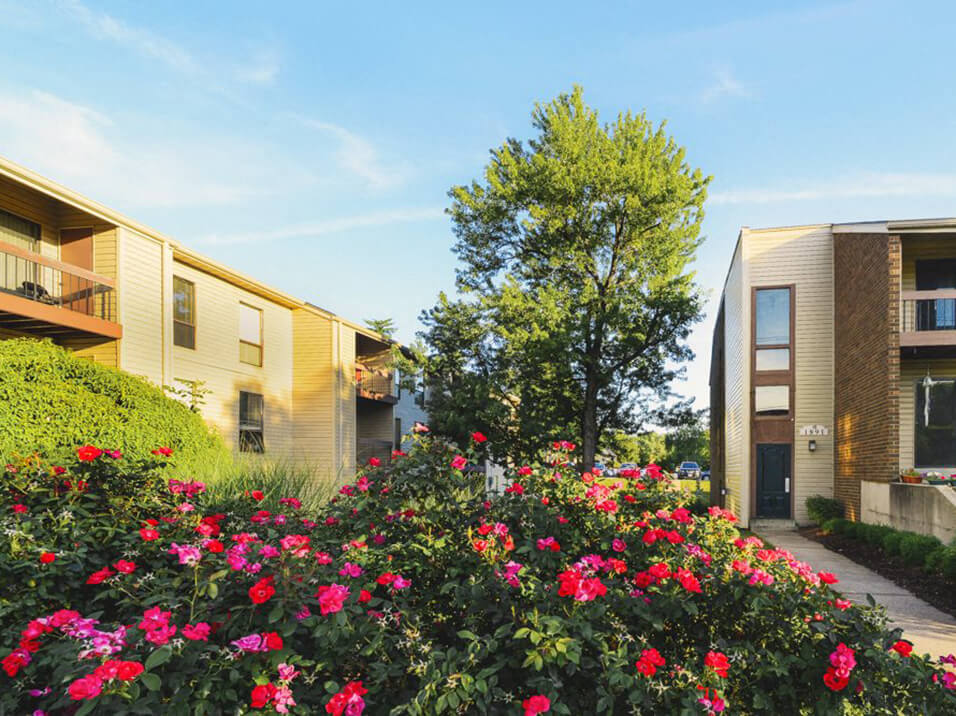 Landscaping at apartment complex