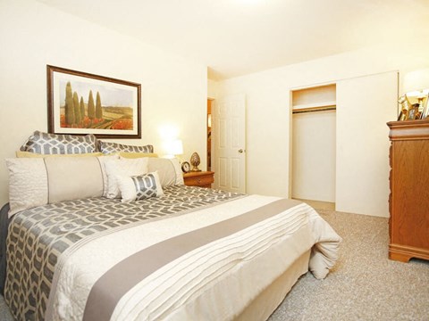 a bedroom with a bed and a dresser and a closet