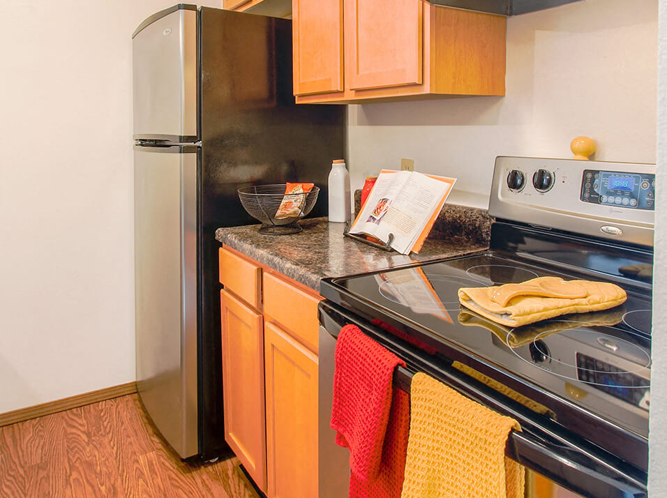 Fully-Equipped Apartment Kitchen