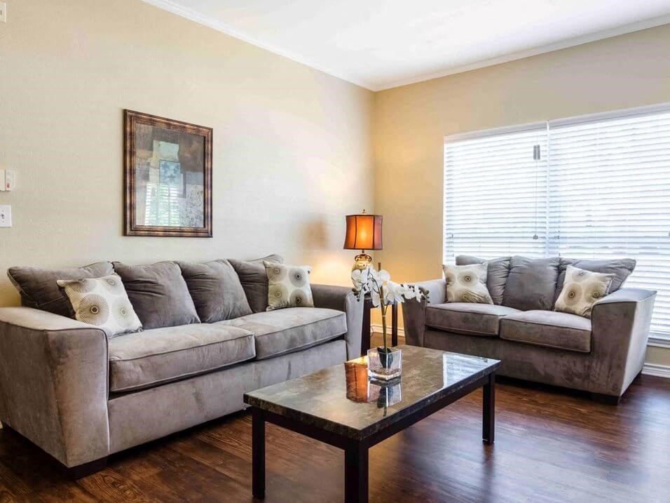 apartments with lots of natural light