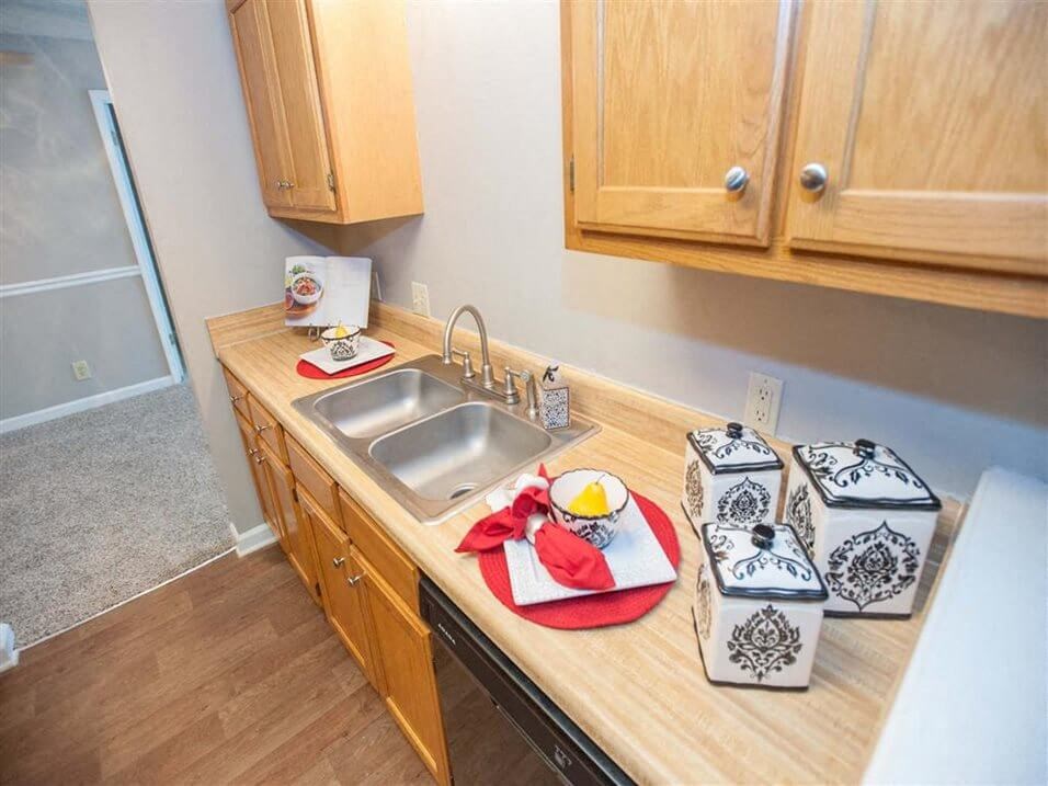 Counter and Cabinet Space in Kitchen