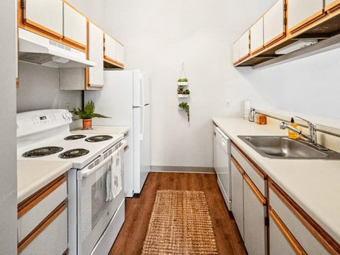 a kitchen with a stove sink and refrigerator