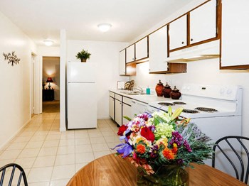 Apartment Kitchen with Appliances - Photo Gallery 5