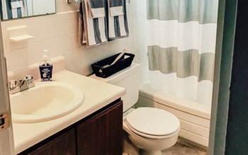 Woodman Park apartments bathroom - Photo Gallery 5