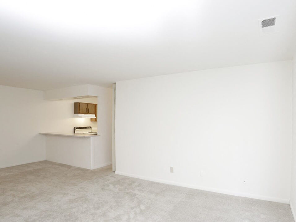 Apartment Kitchen and Living Room