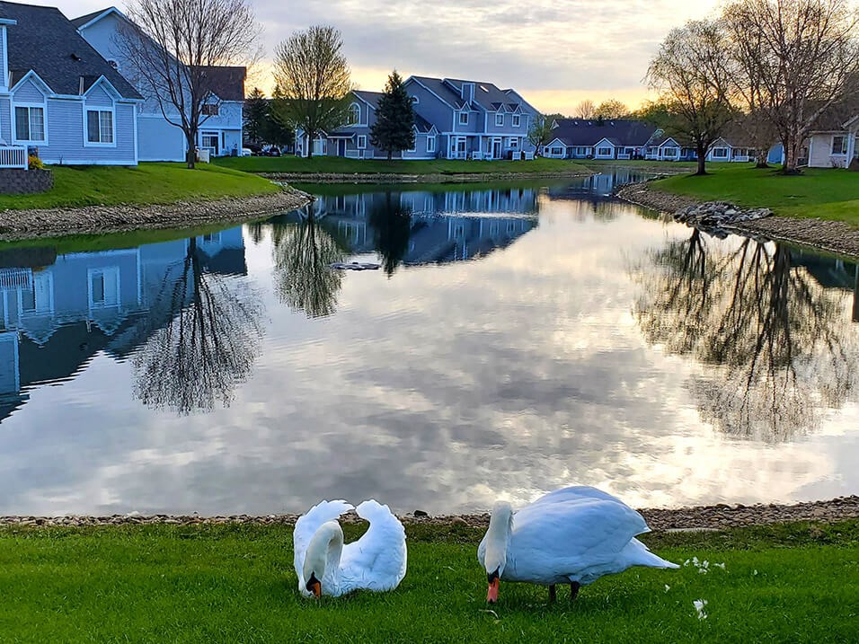 Townhomes on a lake in Rochester MN for rent