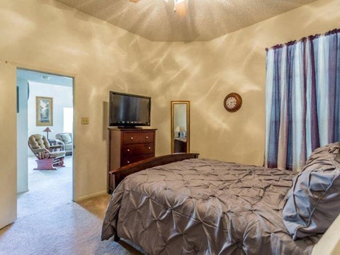 a bedroom with a bed and a tv in it
