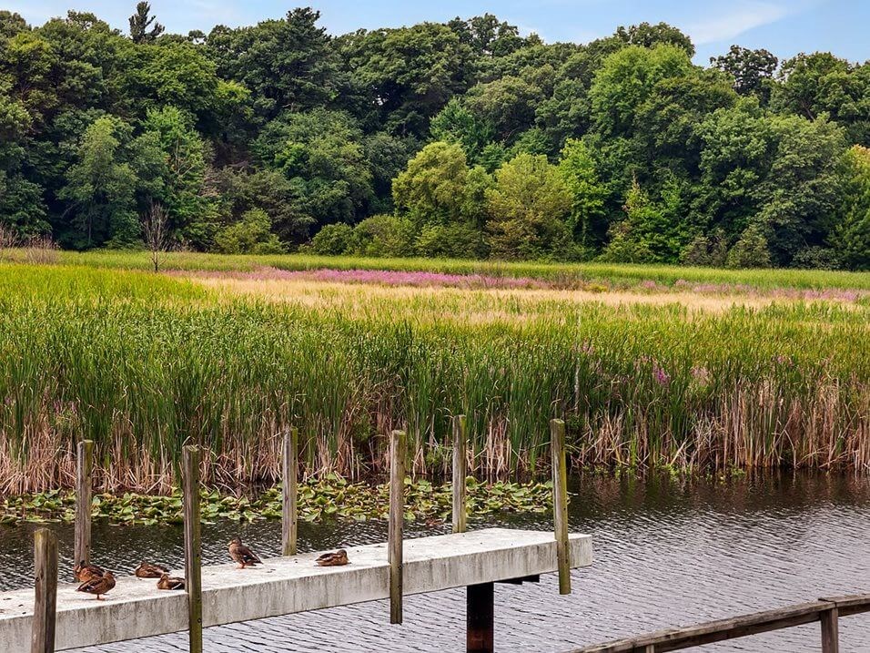 dock at Hidden Cove Apartments