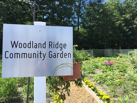apartments with a community garden