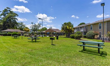 Picnic Area picnic area at The Creek apartments - Photo Gallery 5