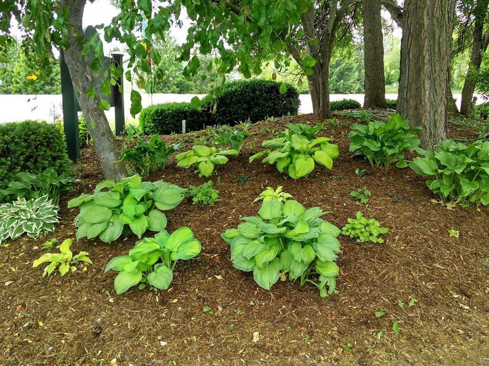 Gardens at Grand Ledge MI Apartments