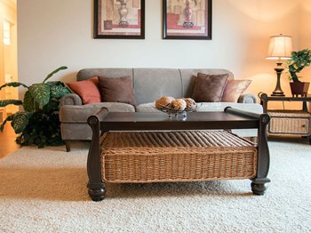 Spacious Living Room in apartment - Photo Gallery 2