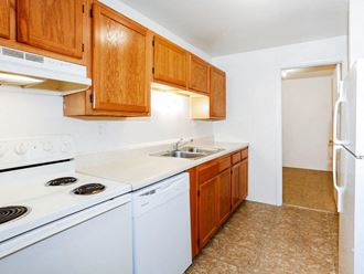 Apartment Kitchen with Double Sink - Photo Gallery