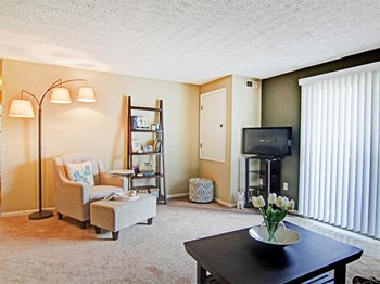 apartment living room  - Photo Gallery 9